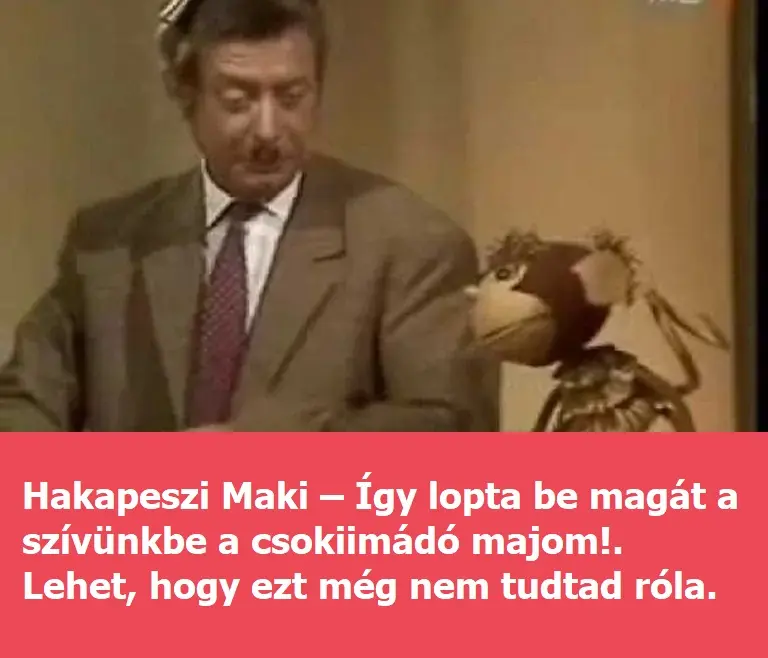 hakapeszi 768x432