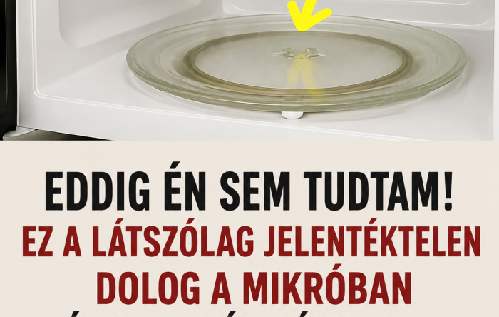 Eddig én sem tudtam! Ez az apró alkatrész a mikróban sokkal fontosabb, mint hinnéd