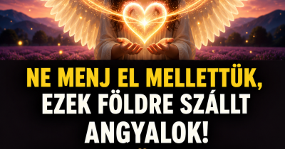 Csillagjegyek, akiknek a szívében szinte végtelen szeretet lakozik