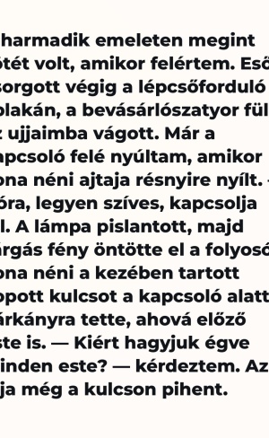 😮 Minden este égve hagytam a lámpát az idős szomszédomnak, míg meg nem láttam, kinek tartogatja a kulcsot