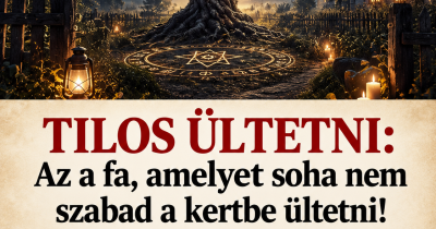 Ezt a fát nem véletlenül tartották távol a háztól őseink: a régi babona szerint bajt hozhat a családra