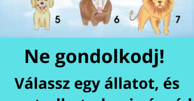 Válassz egy állatot, és megtudhatod, mi vár rád a közeljövőben!