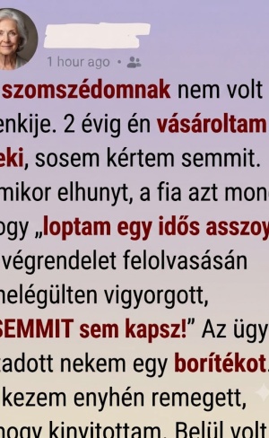 Évekig segítettem a magányos szomszédasszonyomnak – A végrendelet felolvasásán a fia kinevetett, aztán az ügyvéd átadott nekem valamit, amire senki sem számított