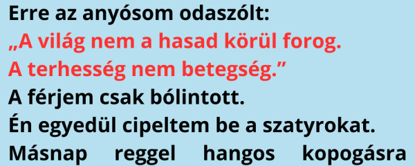 A terhességem nyolcadik hónapjában anyósom megalázott – Nem a férjem, hanem apósom mondta ki azt, amit soha nem felejtek el