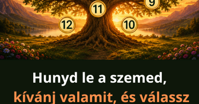 Hunyd be a szemed egy pillanatra, gondolj egy kívánságra, majd válassz egy számot a fáról! A kapott üzenet sokakat megdöbbentően pontosan jellemez