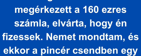 Azt hittem, egy teljesen átlagos családi bemutatás lesz – de a 160 ezres számla sokkolt, és leleplezte a rideg valóságot