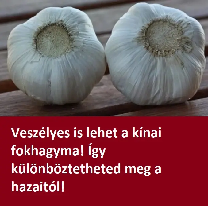 fokhagyma221