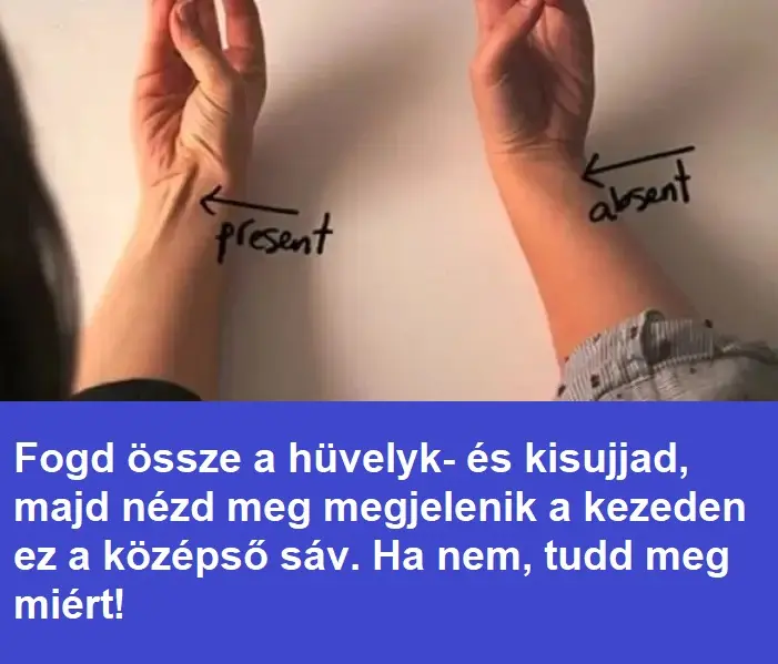 huvelyk79