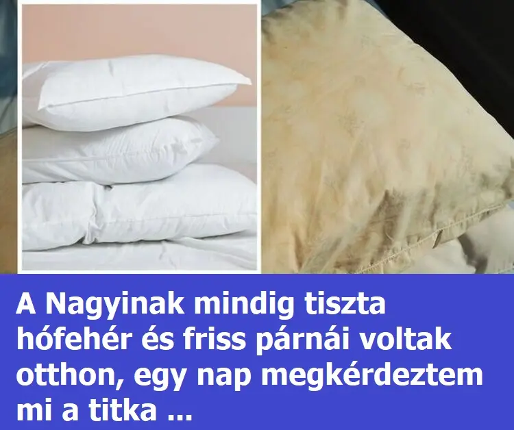 nagyiparnai1658847 750x400