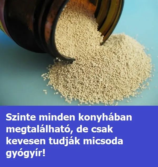 sörélesztő hatása