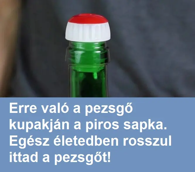 pezsgougr 1024x512