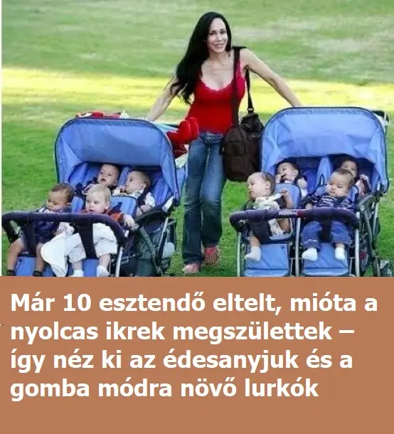 8ikrek 20220613 152008 462x381