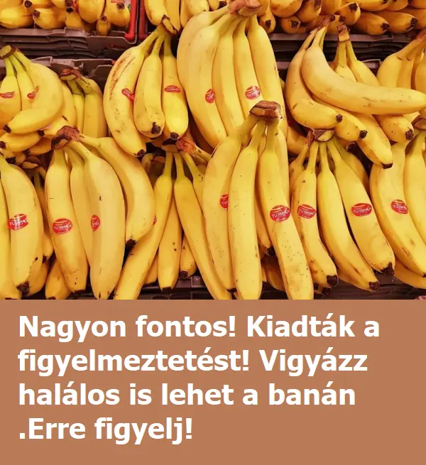 banan4535t 4