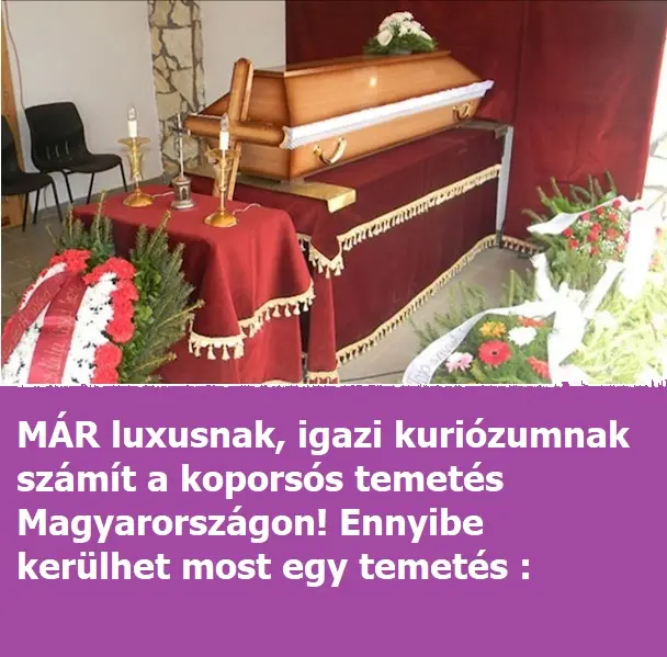 duevaraktemetes342424n