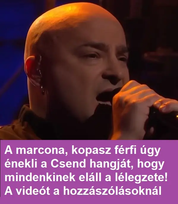 kopaszferfi 2024 10 05 16.39.12 20241005 162849