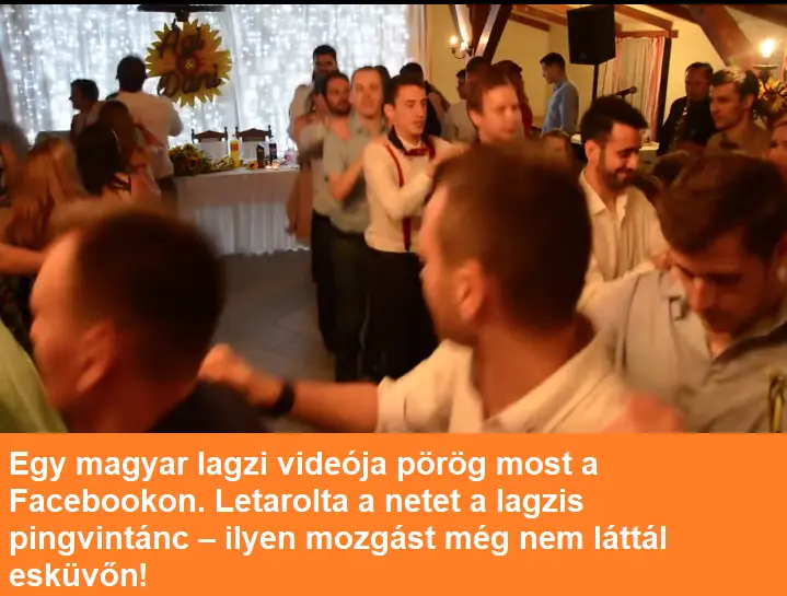 pingvintanc34535433len