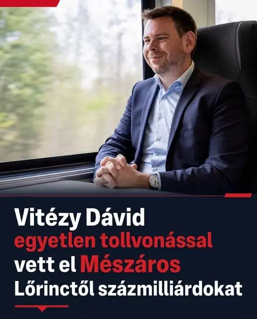 vitezidavid9208 n