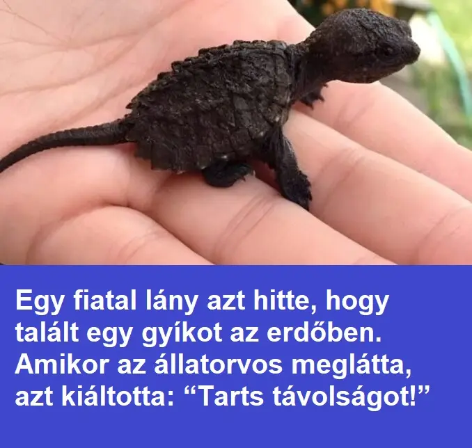 furalenyfa51e 768x460 1 768x400 1 678x381