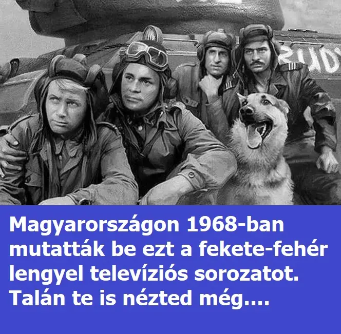 negypancelos6418803 n