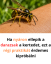 Eleged van a darazsakból? Ezt az egyszerű konyhai trükköt sokan használják a teraszon – vegyszerek nélkül