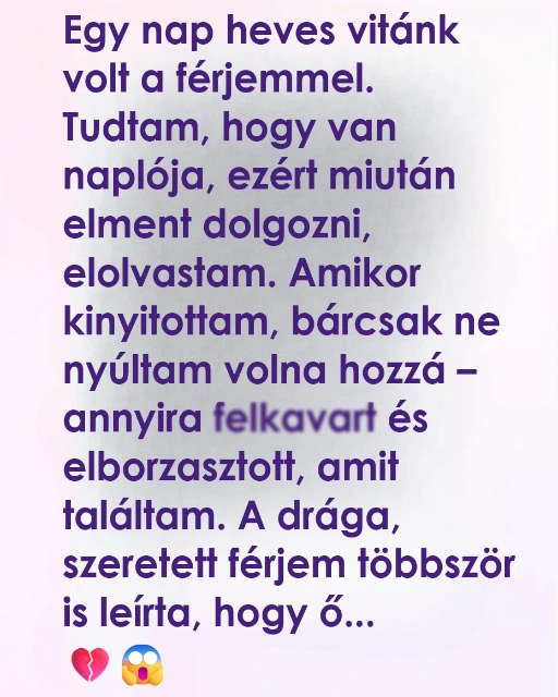 A ferjem naplojat olvastam