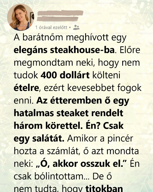 A barátom 400 dolláros steaket rendelt, és azt mondta, hogy osszuk meg a számlát – de én már titokban lépéseket tettem.