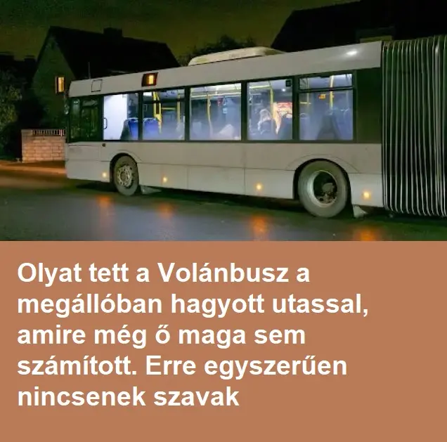 busz7c02e4179c