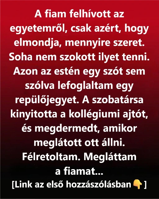 Egy egyszerű hívás a fiamtól arra késztetett, hogy meglátogassam, és többet jelentett, mint hittem
