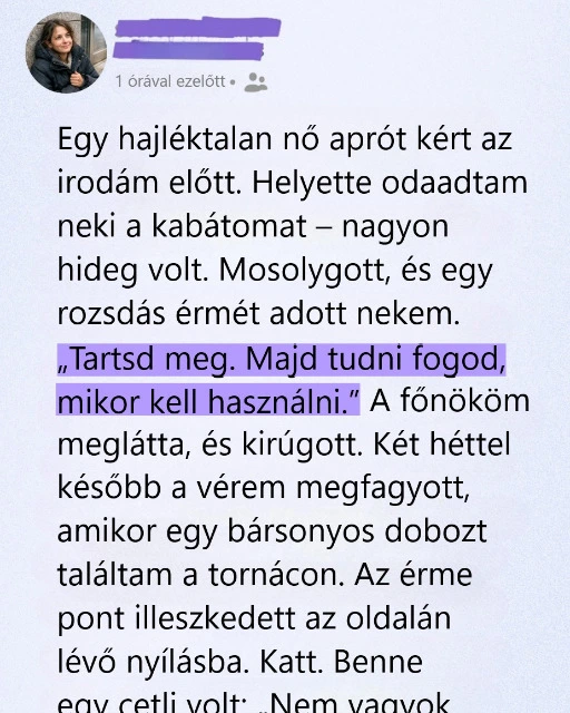 Egy hajléktalannak tűnő nőnek odaadtam a kabátom, két hét múlva egy bársonydoboz mindent megváltoztatott