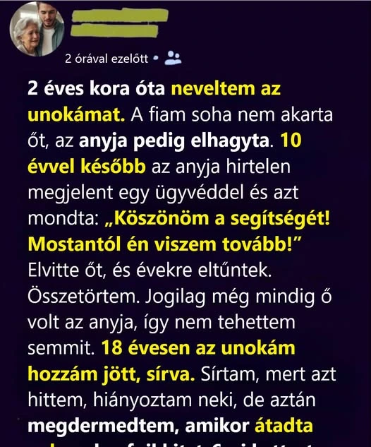 Elvitte a kis unokámat, akit én neveltem fel, évekkel később pedig megváltozva jött vissza