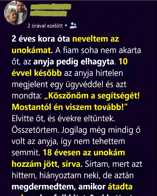 Elvitte a kisunokámat, akit én neveltem fel, évekkel később pedig megváltozva jött vissza