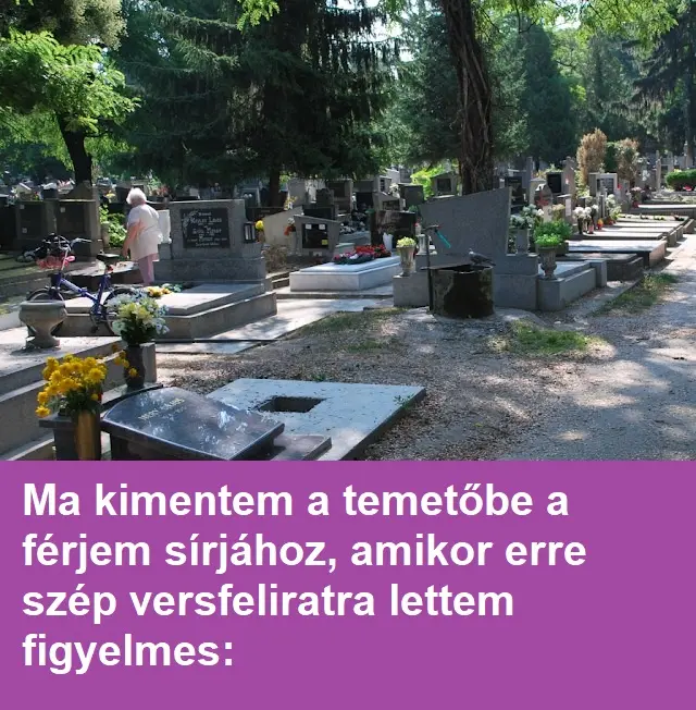 temeto0189 n