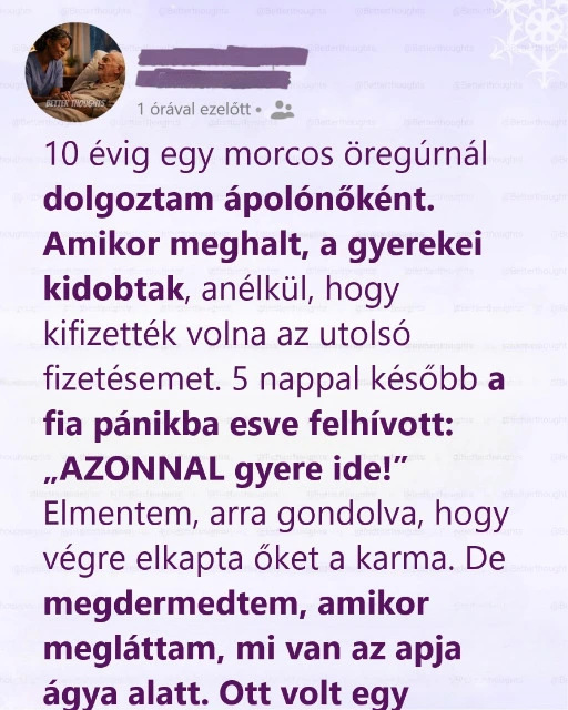 Tíz évig ápoltam őt, a gyerekei mégis levegőnek néztek, aztán kiderült az utolsó titka
