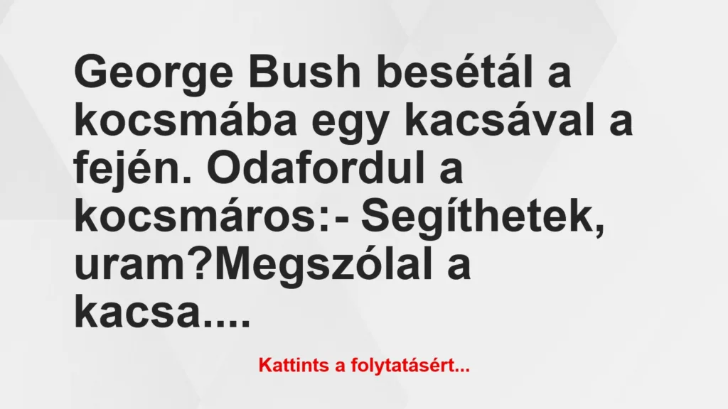 vicc george bush besetal a kocsmaba egy kacsaval a fejen odafordul a 1024x576